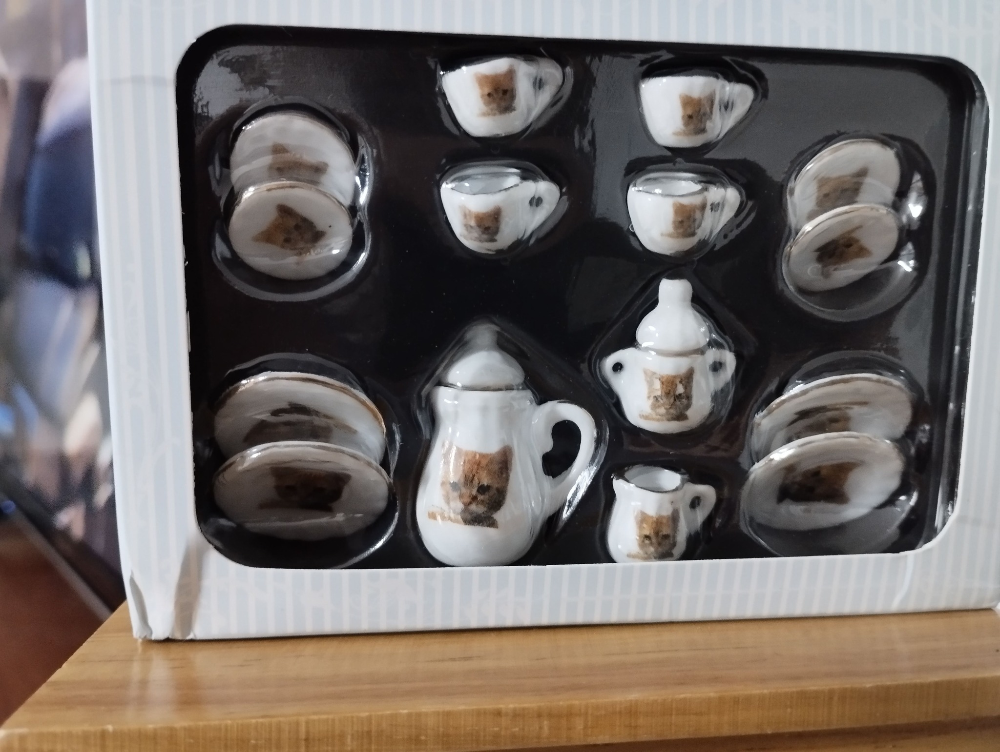 Tee-Kaffeeservice 15teilig katzendekor 1:12