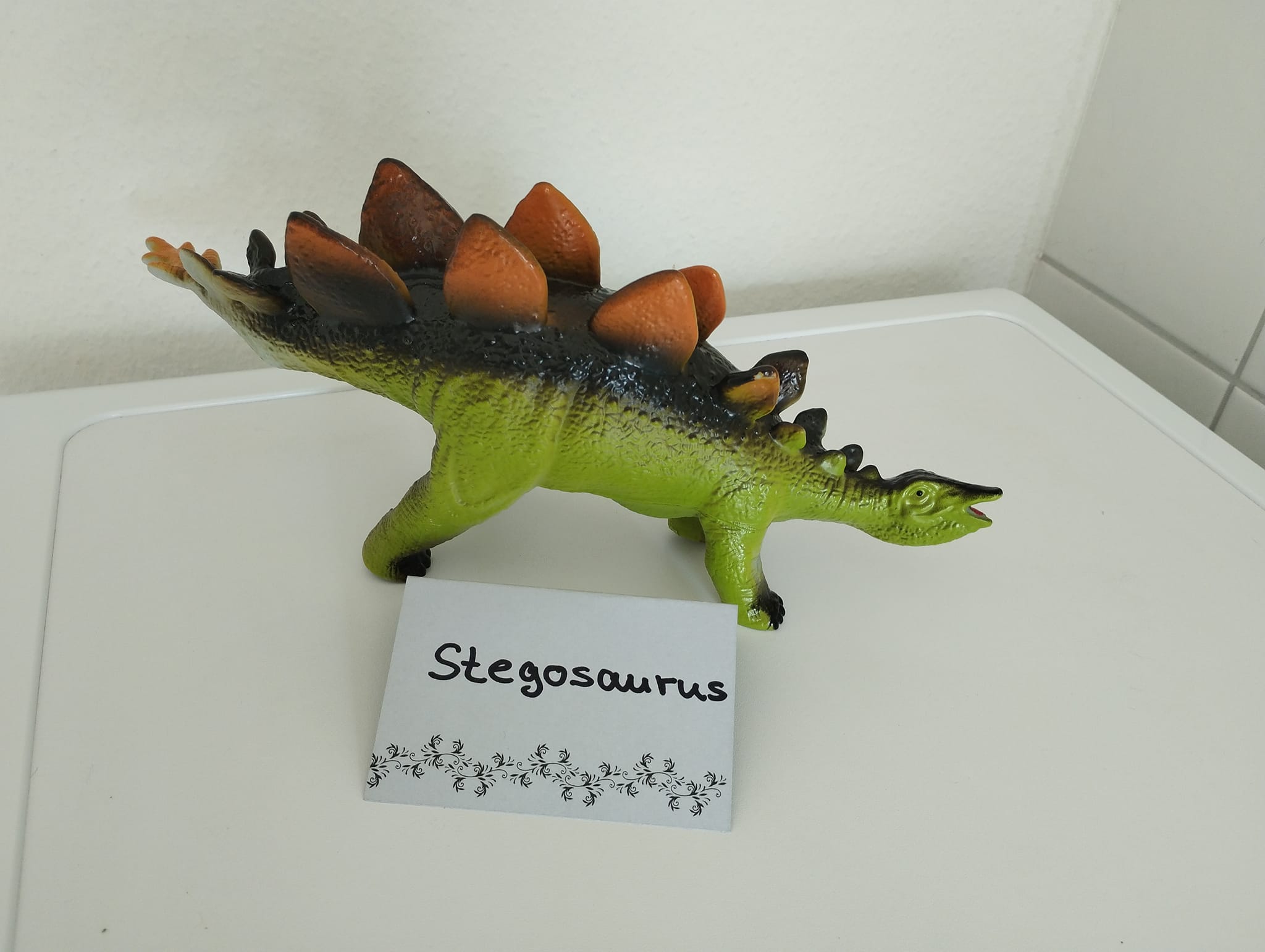 Stegosaurus