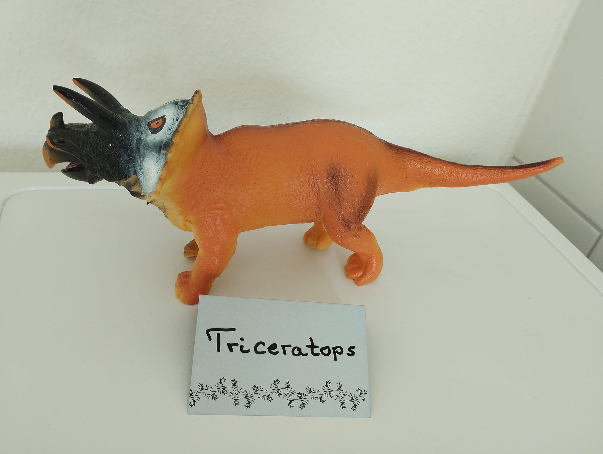 Triceratops