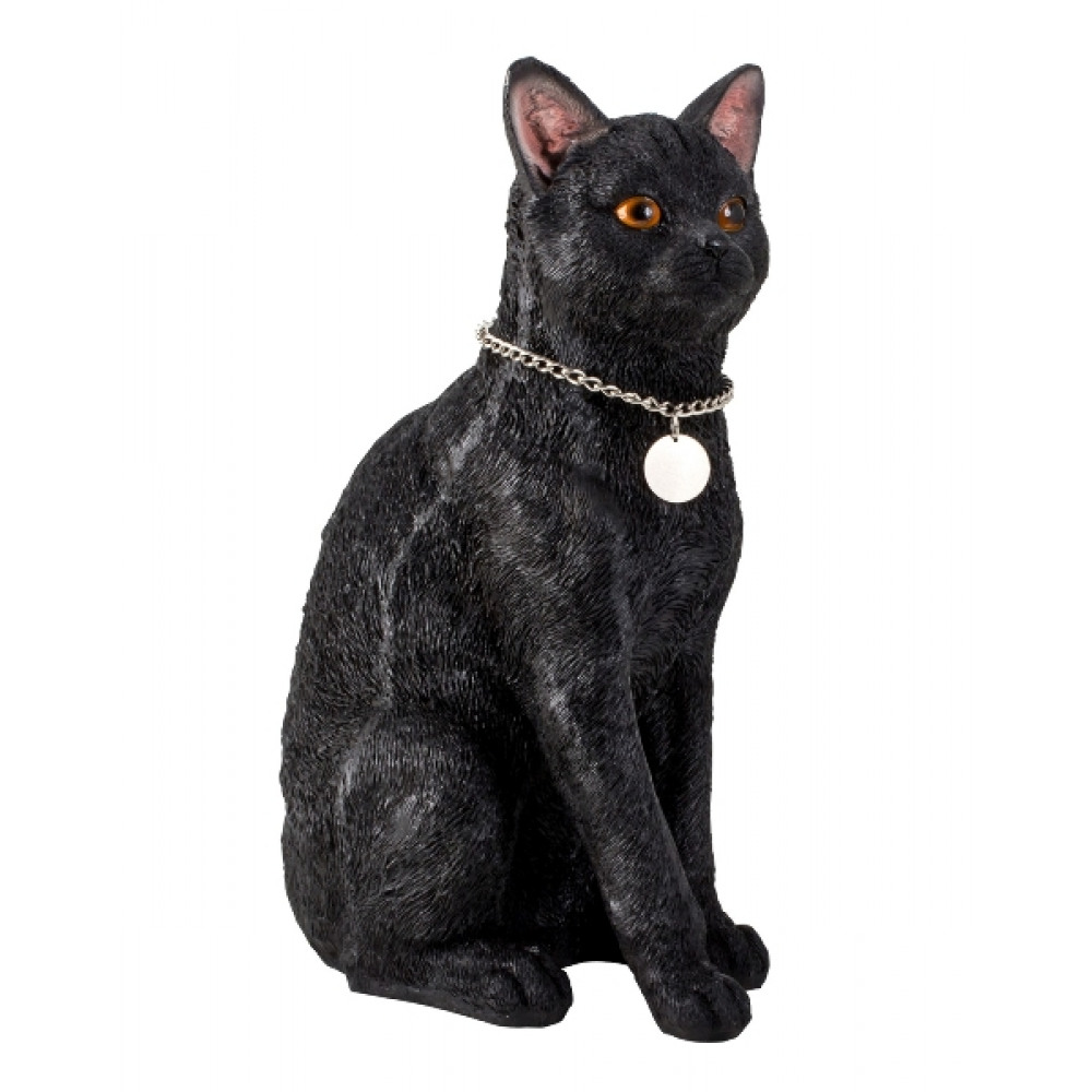 Katze sitzend mit Halskette