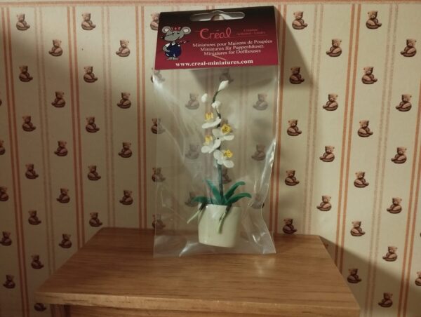 Orchidee in weiß, 1:12