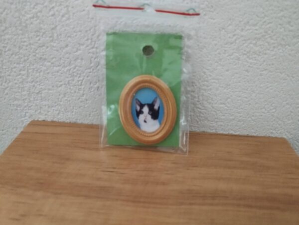 Bild : Katzenportrait 2